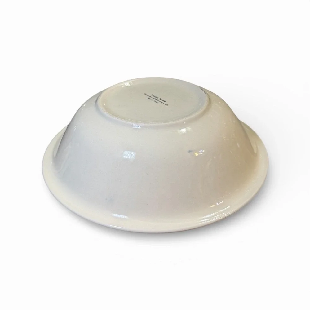Vintage‎ Home Today's Home Enamelware Bowl with Blue Rim